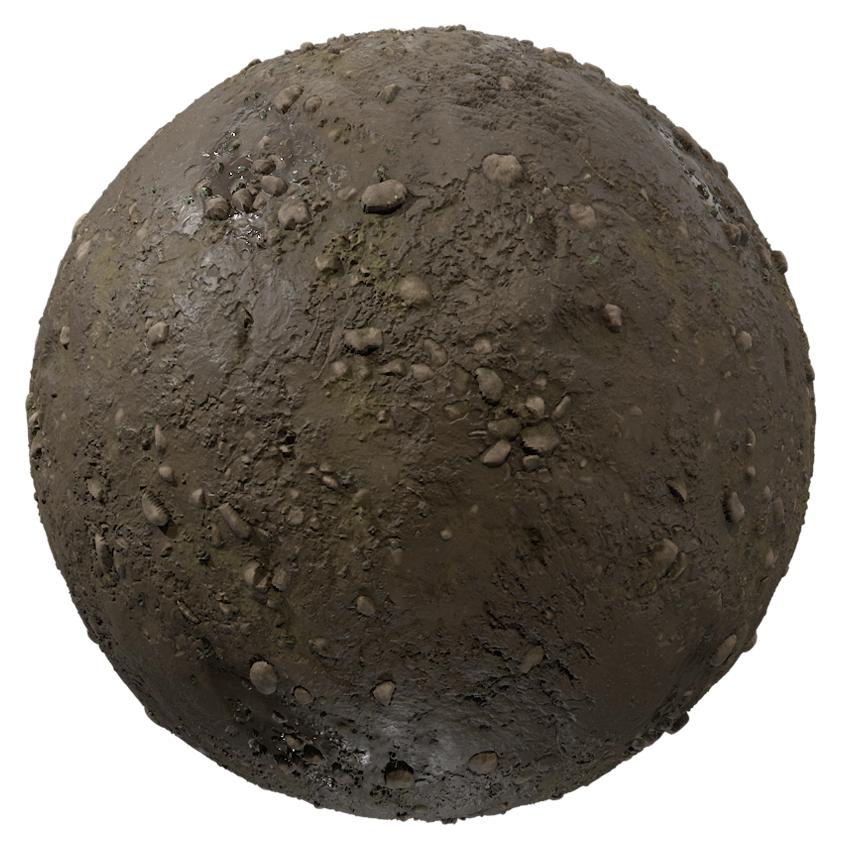 Rocky Mud